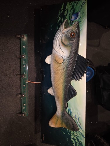 Rare williams fish tales - rare,